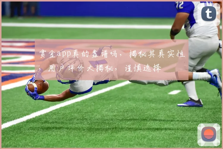 赏金app真的靠谱吗，揭秘其真实性，用户评价大揭秘，谨慎选择