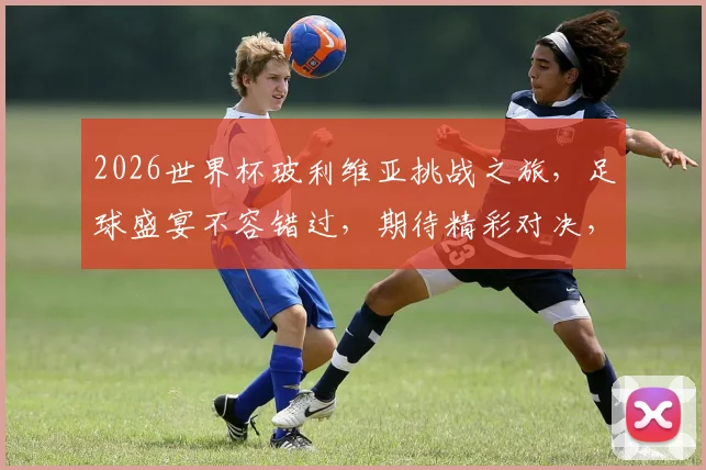 2026世界杯玻利维亚挑战之旅，足球盛宴不容错过，期待精彩对决，你准备好了吗