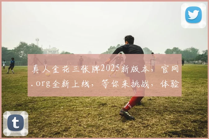真人金花三张牌2025新版本，官网.org全新上线，等你来挑战，体验非凡
