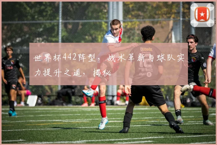 世界杯442阵型，战术革新与球队实力提升之道，揭秘