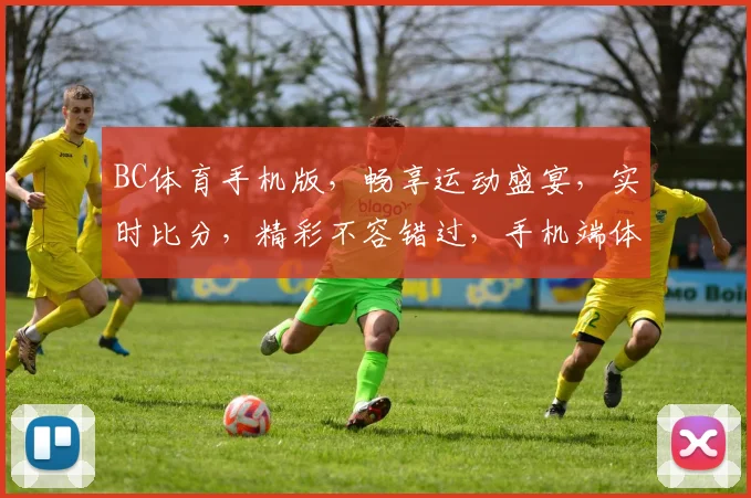 BC体育手机版，畅享运动盛宴，实时比分，精彩不容错过，手机端体验升级