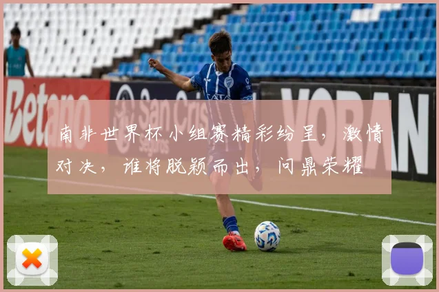 南非世界杯小组赛精彩纷呈，激情对决，谁将脱颖而出，问鼎荣耀